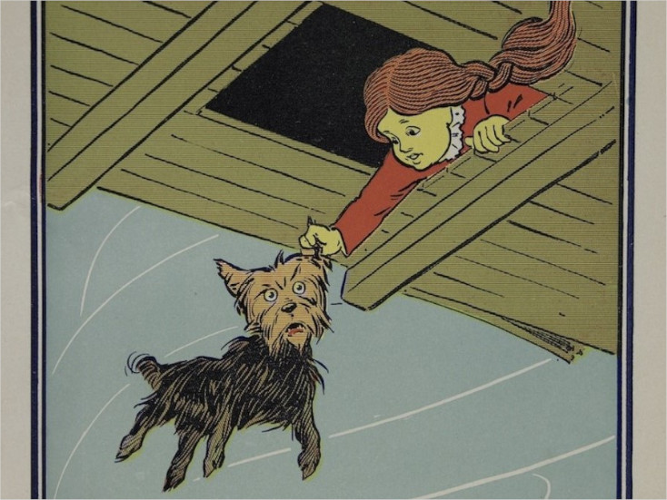 English Audiobook Chapter 1 of The Wonderful Wizard of Oz, The Cyclone