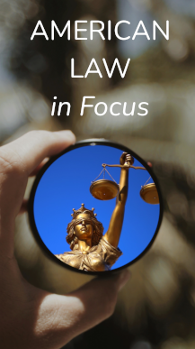 American Law in Focus